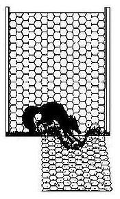 drawing of apron fence with small animal digging 