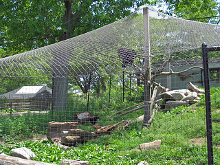 2x2 aviary netting sold by Louis Page