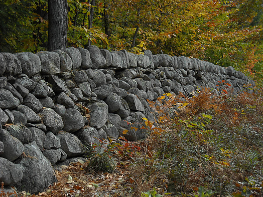 stone wall in autumn