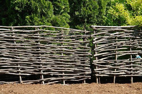 wattle fence